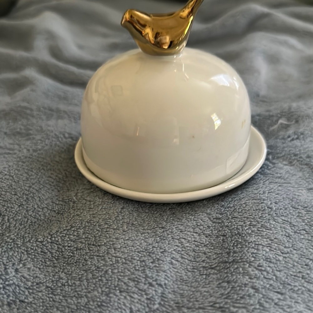 Gold and White Bird Dome Cover